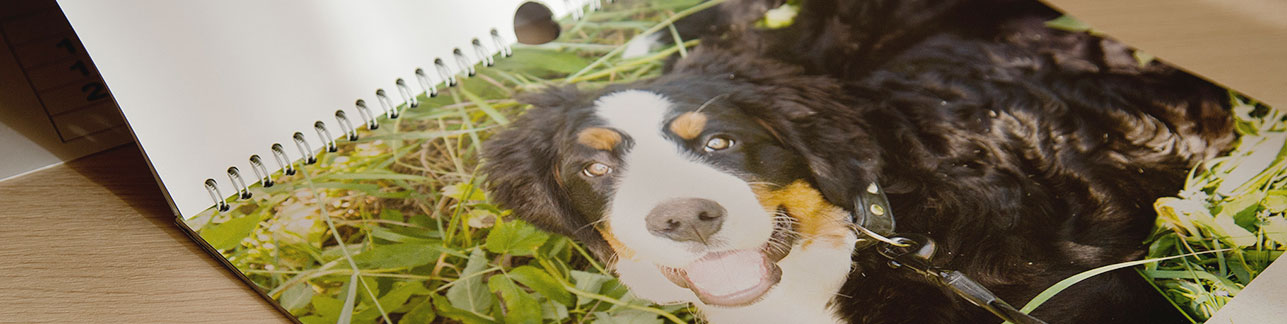 Акция | -50% на перекидные календари – февраль 2020