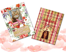 Обложки для паспорта и автодокументов | Праздник весны - скидка 40% на фотокниги и фотоподарки