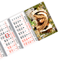 Акция | -50% на все календари 2019 - Квартальные календари