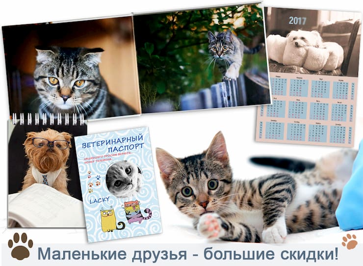 Акция | Скидка в честь Дня защиты животных!