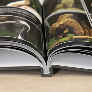 Фотокниги – Пример корешка